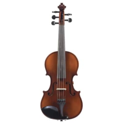 Realist RV5E | Violin 5 -String. New with Full Warranty! image 1