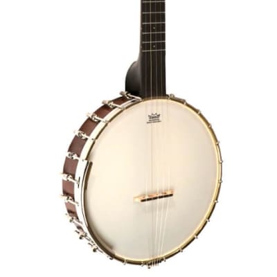 Gold Tone CB-100 Clawhammer 5-String Banjo, Open Back with Planetary Tuners +Bag for sale