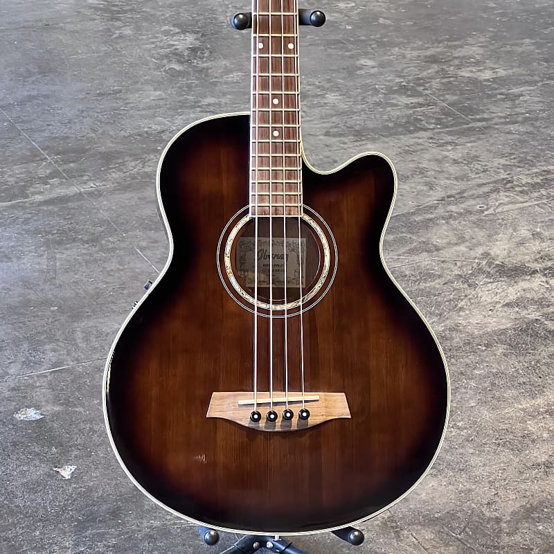 Ibanez AEB10E Acoustic/Electric Bass w/CASE 2010, Dark Reverb