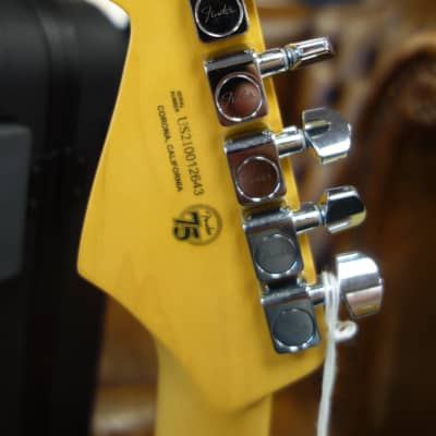 Fender American Professional II Stratocaster Mercury image 6