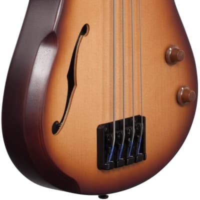 Ibanez SRH500F NFF 4 String Semi-Hollow Fretless Bass W/Piezo | Reverb  Canada