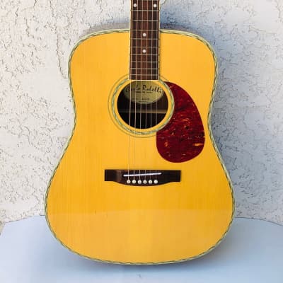 Carlo Robelli Acoustic Dreadnought Guitar Model + SBK Hard Case for sale