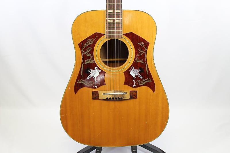 Ensenada Acoustic Guitar (As-Is) | Reverb