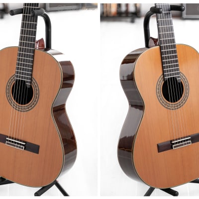 2012 Terry Pack nylon classical guitar image 8