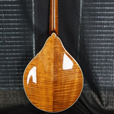Brand New Bourgeois A Style Mandolin Model M5A Adi Top / Flamed Bosnian Maple ALL TORRIFIED image 2
