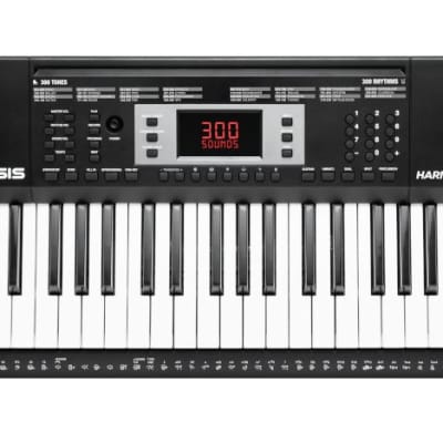 Alesis Melody 61 MKII 61-Key Portable Keyboard with Speakers Reviews