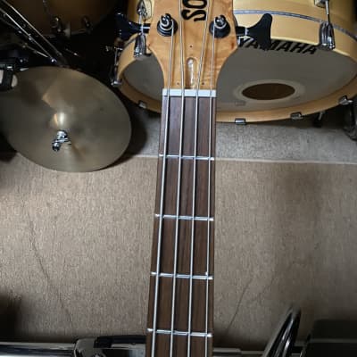 Sozo Bass 2018  Schecter Style Maple Burl.  As New, Killer 4 String Big Mojo. image 5
