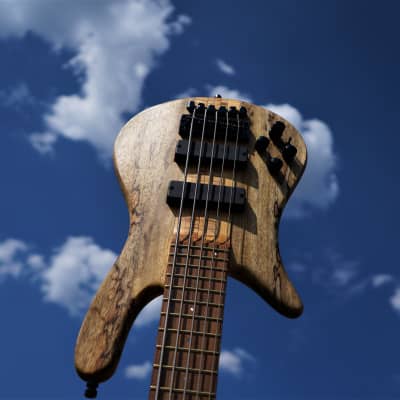 Warwick Custom Shop Streamer Stage 1 Neck Through LTD 2021 Left-Handed 5-String Bass - 25/25 Made NOS image 4