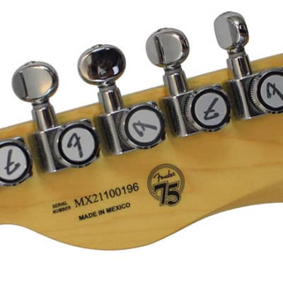 Fender Telecaster Deluxe Nashville 2TSB MN image 6