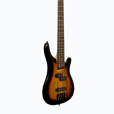 Glen Burton GBSRB-TS Basswood Body Maple Neck 4-String Electric Bass Guitar w/Gig Bag, Strap, Cable, Picks, Strings & Key image 2