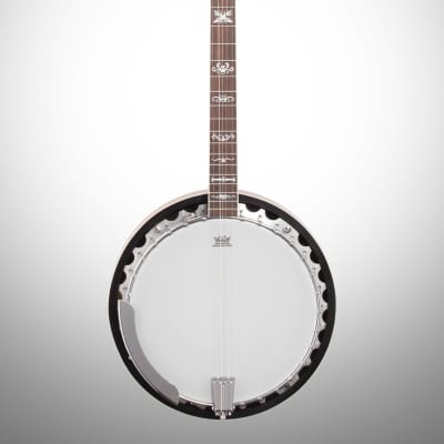Washburn B10 Five String Banjo image 2