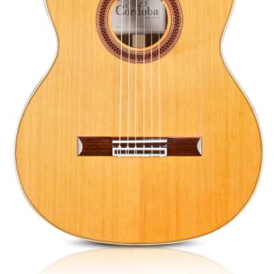 Cordoba F7 Paco Natural - Solid Cedar Top, Indian Rosewood Back/Sides image 3