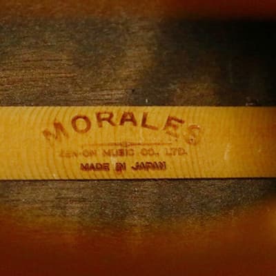 Acoustic Guitar Morales M250 Natural Made in Japan with Soft