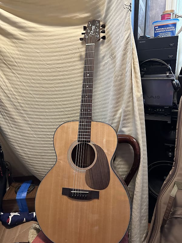 Takamine g220 acoustic guitar with hard shell case Natural Reverb