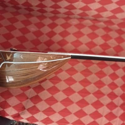 Bouzouki trichordo image 4