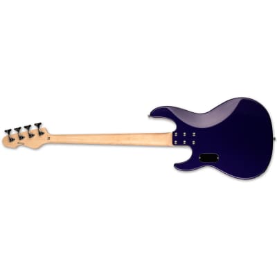 ESP LTD AP-204 Dark Metallic Purple Electric Bass Guitar AP204 DMP - B-Stock image 2