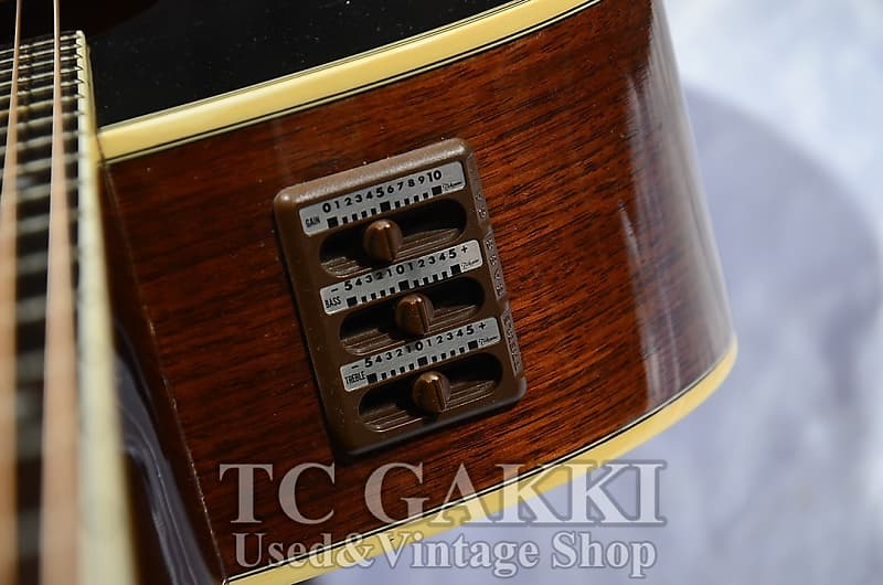 Takamine PT 010S | Reverb