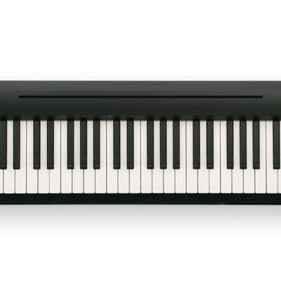 Roland FP-10-BK Portable Digital Piano [Display Model]