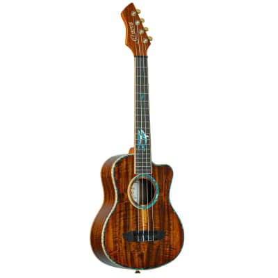 ORTEGA shops HYDRA-ZS Double Neck Tenor Ukulele inkl. Tasche