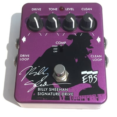 EBS Billy Sheehan Signature Drive 2015 | Reverb