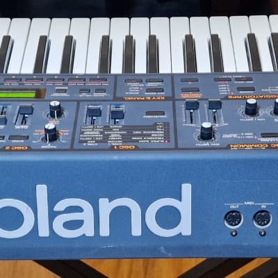人気 ぴぴ レア Rolend 3000 RolandPiano 鍵盤楽器 - www.earthingmart.com