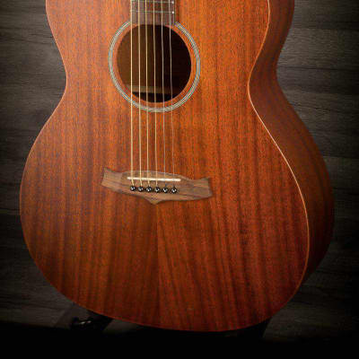 Tanglewood Tw130Sm for sale