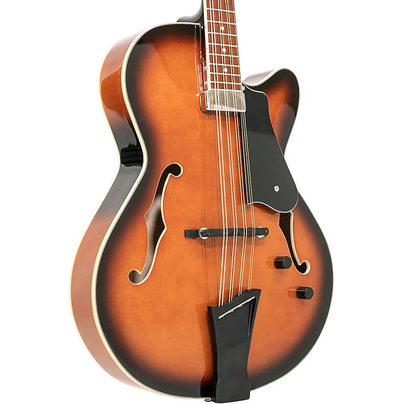 Gold Tone Mandocello Archtop in Sunburst with Case image 1