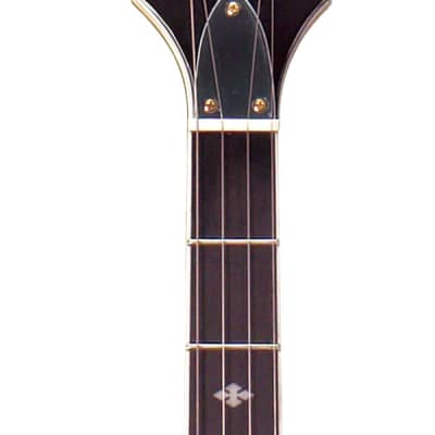 Gold Tone EBM-5 Electric Solid Body Maple Neck Mahogany Top 5-String Banjo - Tobacco Sunburst image 3