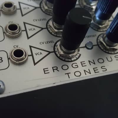 Erogenous Tones VC8 image 7