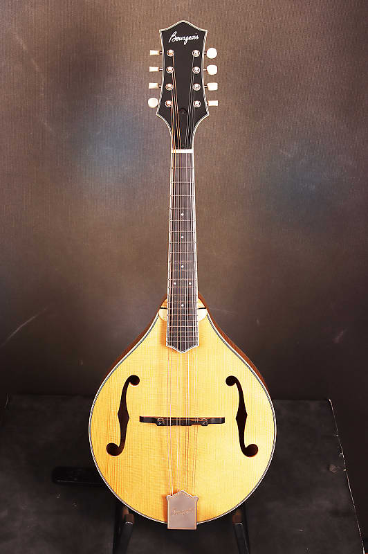 Bourgeois M5-A Aged A-style mandolin Brand New image 1