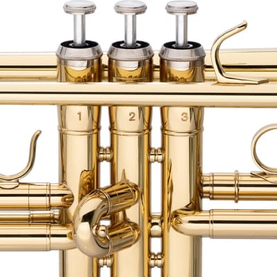 Bb Trumpet, ML-bore, Brass body material image 3