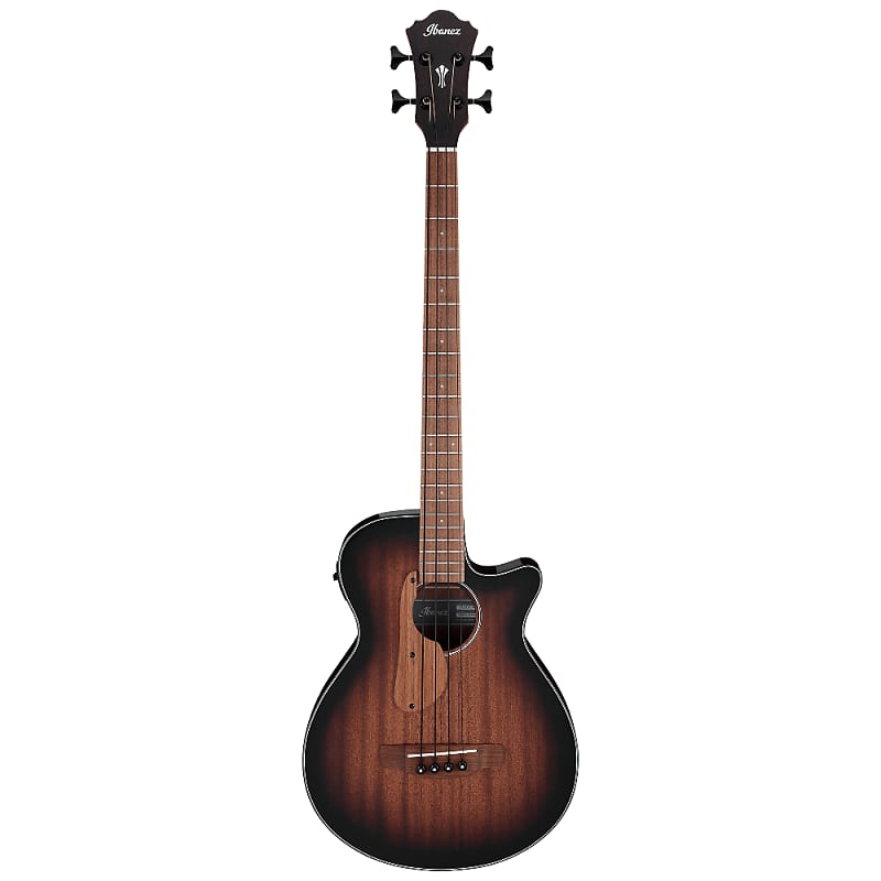Ibanez AEGB24E Standard | Reverb