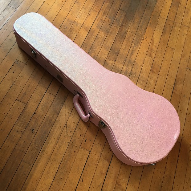 Daisy rock guitar case top
