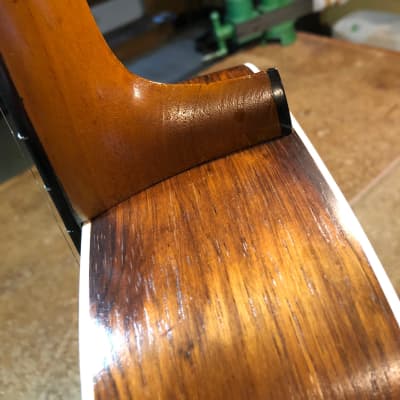 Larson Brothers Maurer Early 1900's. Brazilian Rosewood. Video. image 5