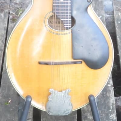 Lyon & Healy Style B mandolin, 1924 for sale