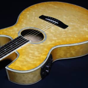 Fender PHOENIX PW2 | Reverb