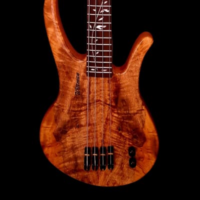 Wittman Custom Bass Long Horn 4 Spalted Maple Top 2022 - High Gloss Polyester image 5