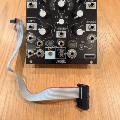 Make Noise Morphagene Module | Reverb