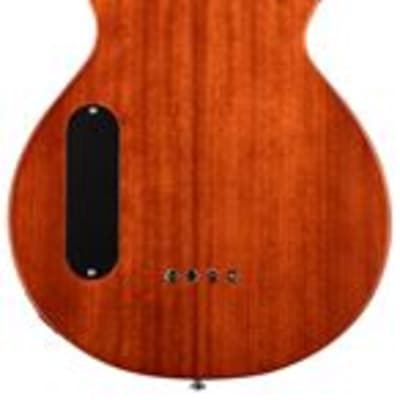 ESP LTD TL-4 Thinline Acoustic Electric Bass Guitar Natural image 4