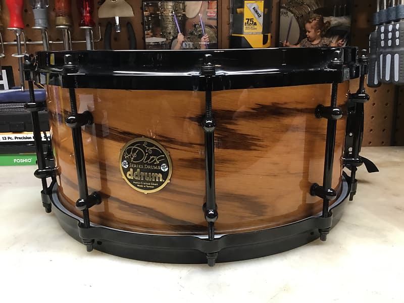 ddrum Dios Exotic Series 6.5”x14” Snare Drum - Zebra Wood / Maple