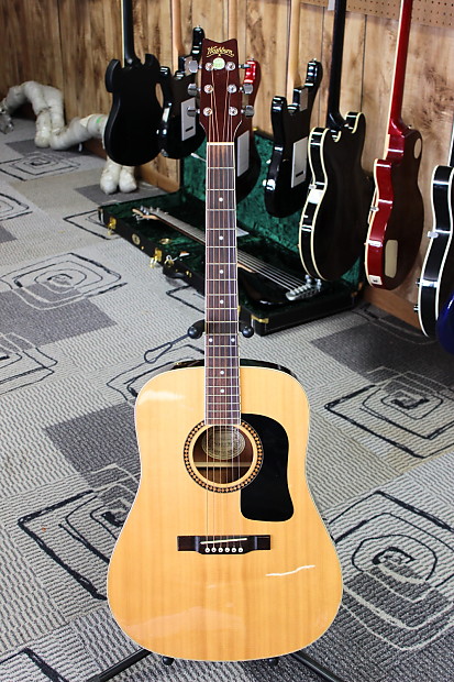 Washburn 10s sale