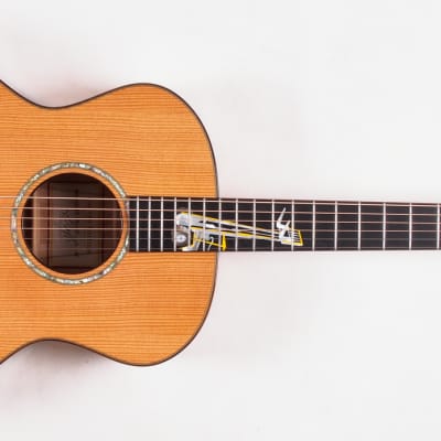 Immagine Taylor Gallery Series PALLET Guitar 2000 Natural - 6