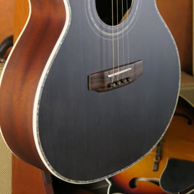 Craven Tenor Guitars 265BA ~ ACOUSTIC Shari Ulrich Songbird ~ Heirloom Black 2023 - Heirloom Black Satin image 8