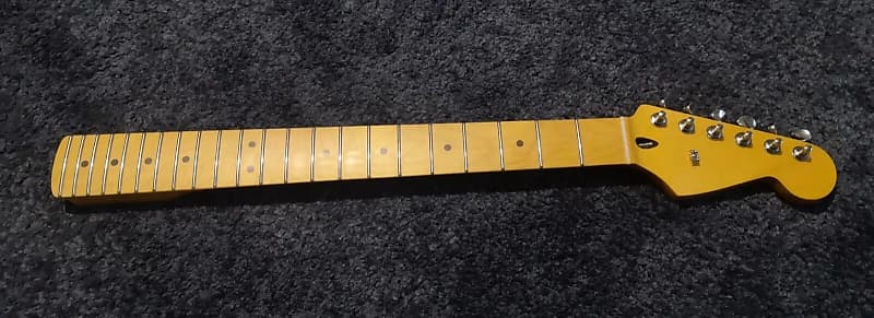 Guitar Anatomy Stratocaster Maple Neck image 1