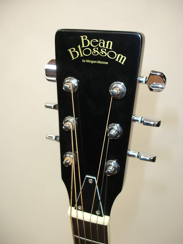 Bean Blossom by Morgan Monroe Resonator Guitar, Sunburst