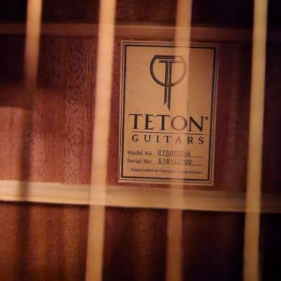 Teton  STS000ZIS Acoustic Guitar w/hard Teton case 2021 Ziricote Satin image 2