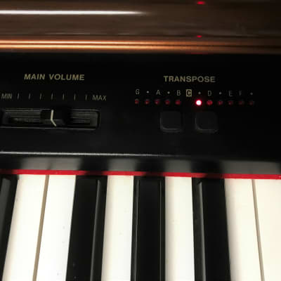 Technics PCM PX55 88 Key Digital Piano | Reverb