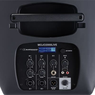 Audiophony Mojo2000 Live image 5