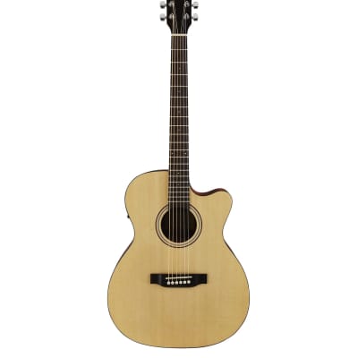 Lyle ライル　630-RLアコースティックギター Lyle ライル630-RLアコースティックギター