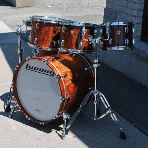 Ludwig exotic discount
